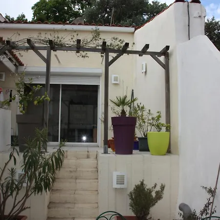 Petite Maison D'hote Et Son Patio Au Pied De Notre-dame Homestay