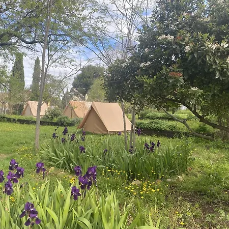 Albergue Hi Bois-luzy *