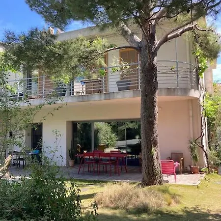 Grande Jardin Et Piscine A Endoume Marseille