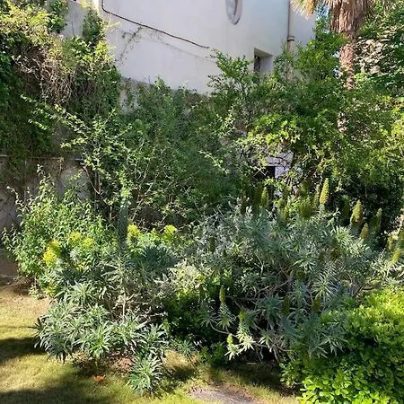 Grande Jardin Et Piscine A Endoume * Marseille