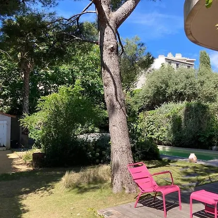 Grande Jardin Et Piscine A Endoume Villa