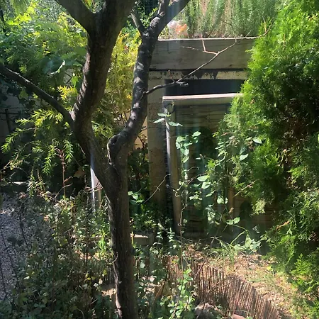 Avec Piscine *