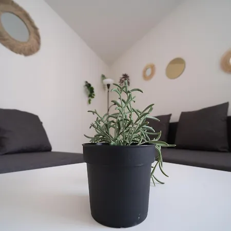 Apartment Equipe A 6min De La Gare St Charles