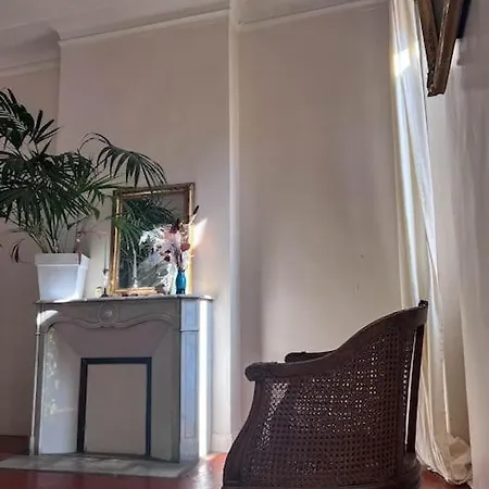 Grand Lumineux Apartment *
