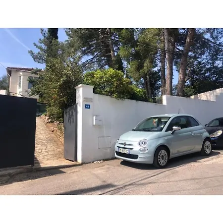 Spacieuse Dans Les Pins