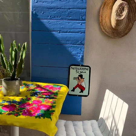 Jolie Studette Avec Patio Style Cabanon Apartment