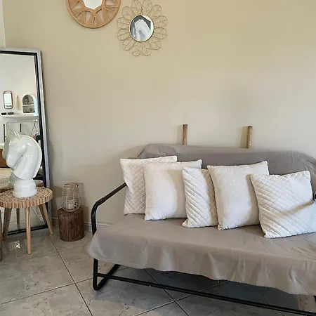 Villa Spacieuse Dans Les Pins