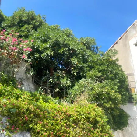 Holiday home La Flibuste Des Goudes: Calanques Seaside Retreat With Gardens