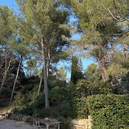 Bastide Provencale Avec Piscine Villa *
