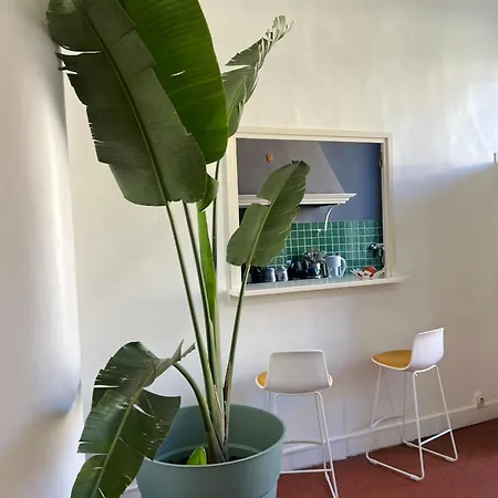 Maison Marengo Marseille