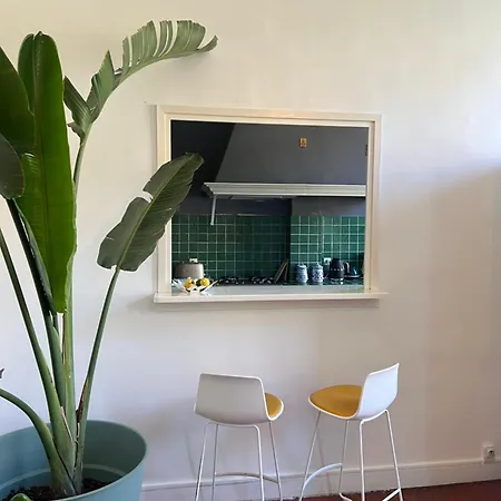 Homestay Marengo House