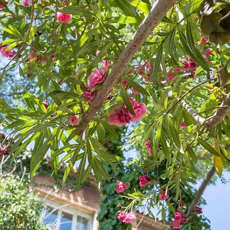 Monticelli Bed & Breakfast 3*