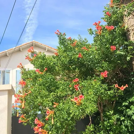 Guest house Le Volet Bleu 3*