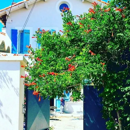 Guest house Le Volet Bleu Marseille