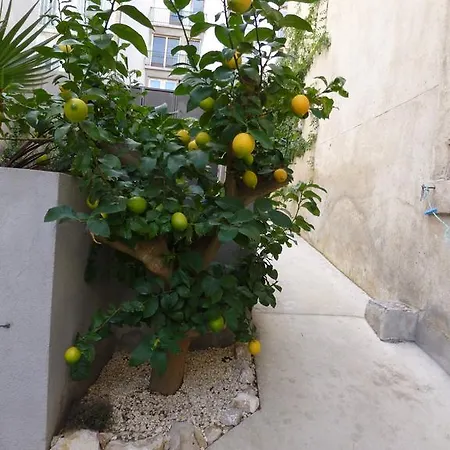 Holiday home L'orangeraie Et La Palmeraie D'endoume Marseille