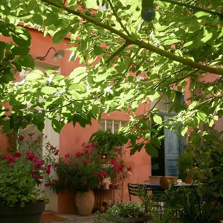 Casa de hóspedes Jardin Vieux Port Panier *