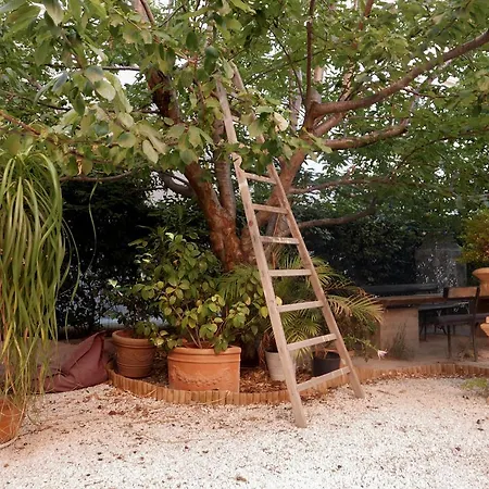 Jardin Vieux Port Panier *