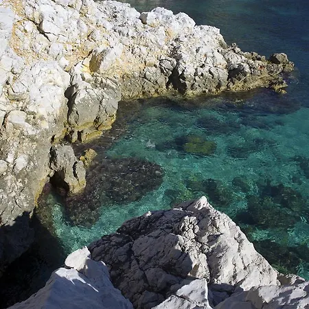 Golden Tulip Euromed