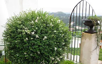 La Blanche 3* Marsylia