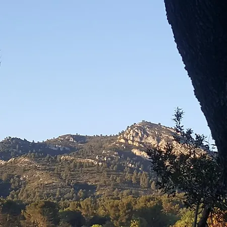 Neuf Le Taoume