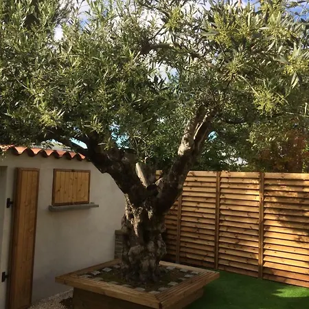 Aux Delices De L'olivier Bed & Breakfast *