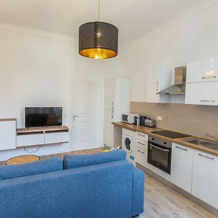 T2 Cosy 100m De L'hopital Europeen Apartment *