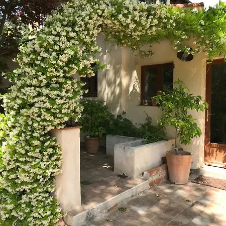 Dépendance De Bastide Climatisée Dans Parc Exceptionnel, Au Calme * Marseille