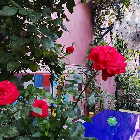 Jardin Vieux Port Panier Marselha