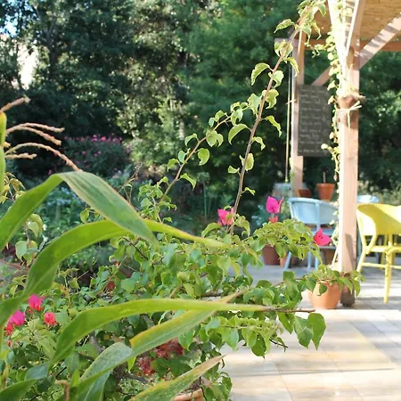 Bed & Breakfast Ginkgo Marseille