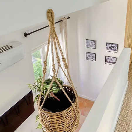 Cmg - Maison Pagnol