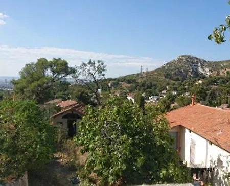 Petit Parmi Les Pins Et Les Cypres * Marseille