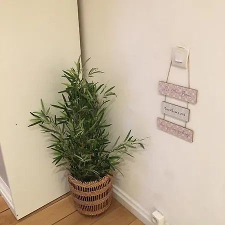 Le 66,havre De Paix Appartement *
