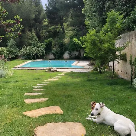 - Jardin Secret Apartment *