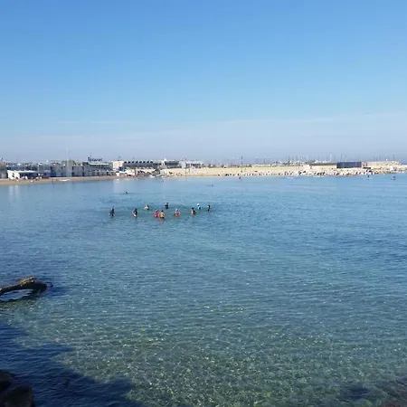Tibou Marseille