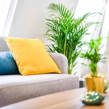 公寓 Le Bel Air - Loft Spacieux Centre De *