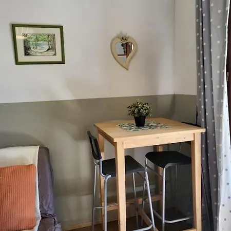 Studette Independante Et Coquette Avec Terrasse Sur Jardin * マルセイユ