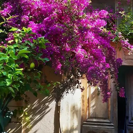 Maison Et Terrasse Dans Le Jardin Du Chateau De Gaillard Marseille