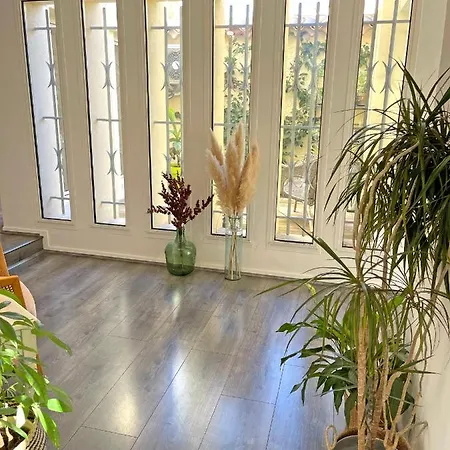 D'architecte Avec Piscine Et Grand Jardin