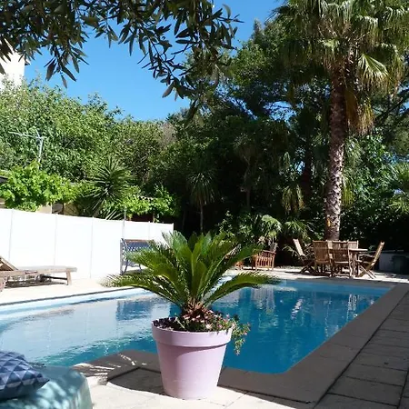 Villa Maison Jardin Grande Piscine , Sortie Bateau Possible