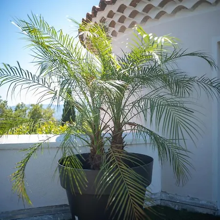 Apartment La Bastide De St Barnabe Jacuzzi Climatisation Parking Petanque *