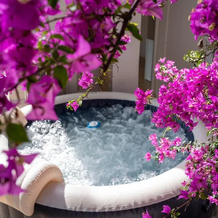 Apartment La Bastide De St Barnabe Jacuzzi Climatisation Parking Petanque
