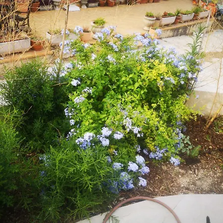 Chez Ramses * Marseille