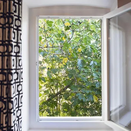 Apartment Tres Bel Avec Jolie Vue Dans Le Quartier Prise De Vauban
