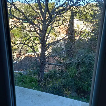 Petit Parmi Les Pins Et Les Cypres