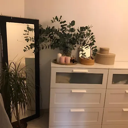 Apartment T2 Meuble Plaine/cours Julien