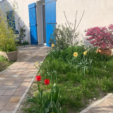 Maisonnette De Jardin 马赛
