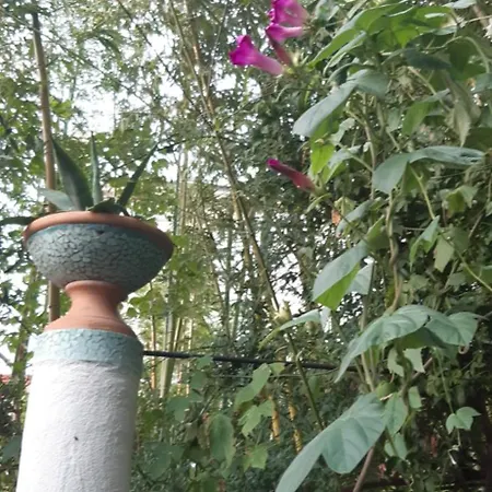 Holiday home Maison Et Terrasse Dans Le Jardin Du Chateau De Gaillard *