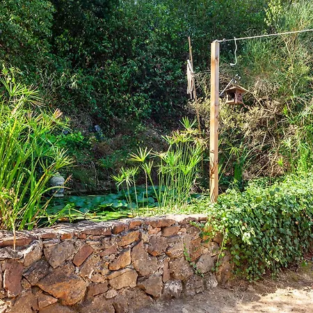 Apartment T2 Dans Les Pins