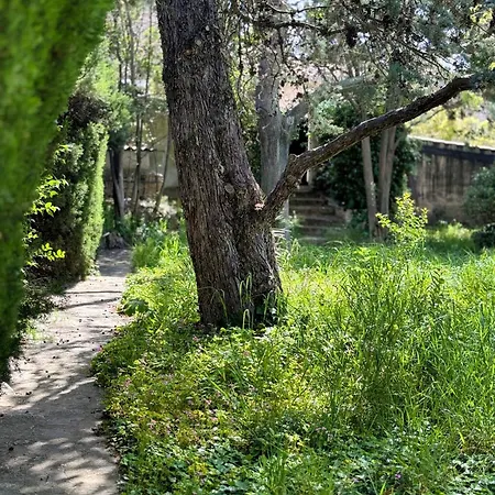 Maison De Charme Classee 3 Etoiles - Calme, Jardin, Salle De Sport, Piscine Casa de Férias *