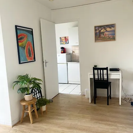 Appartement Lumineux Et Chaleureux. *